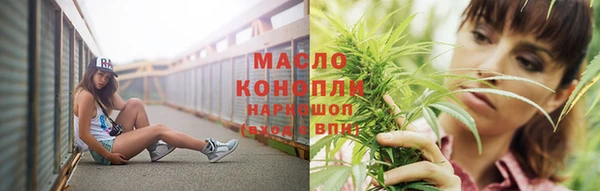 mdpv Богородицк