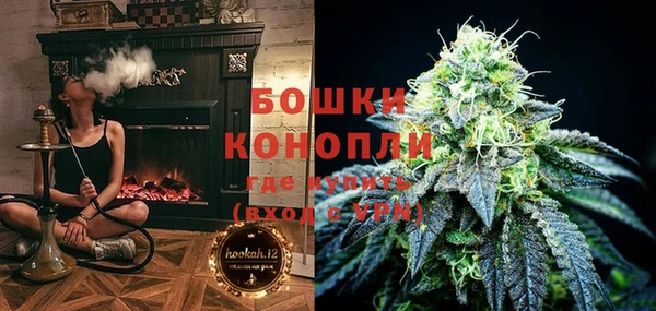 mdpv Богородицк