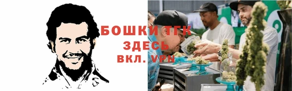 амф Богородск