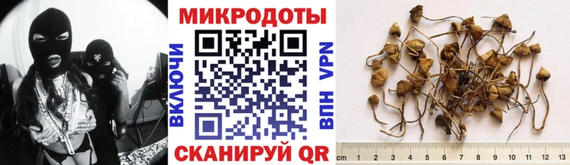 Псилоцибиновые грибы GOLDEN TEACHER  Щучье 